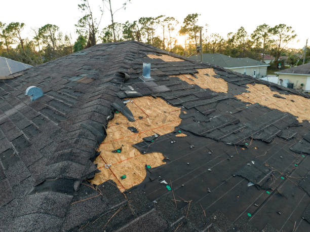 Roof Coating Services in Albuquerque, NM