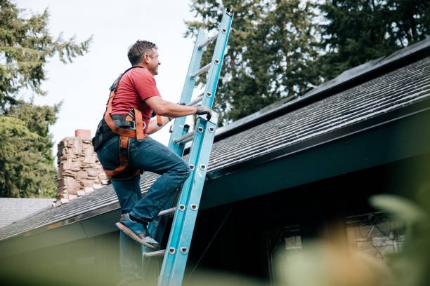 Best Green or Eco-Friendly Roofing Solutions  in Albuquerque, NM